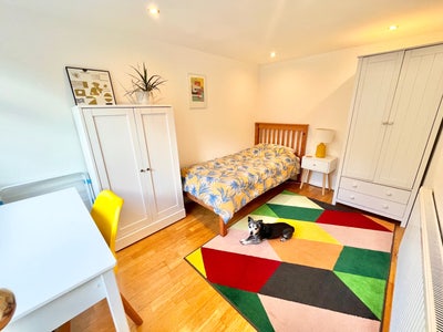 Furnished room near Hove park Main Photo