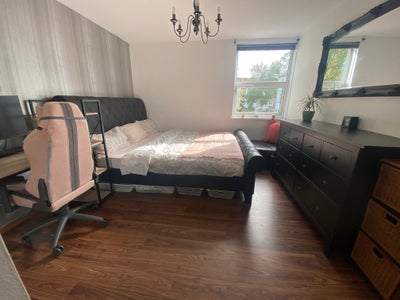 Relaxing Sanctuary seeks easy going addition Main Photo