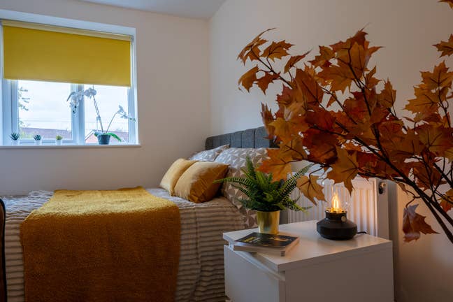 Premium Rooms in Whitefield  Main Photo