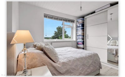 Room in Croydon Main Photo