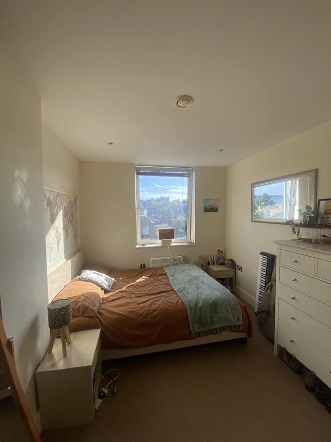 Cosy Sunny Room in Highbury Main Photo