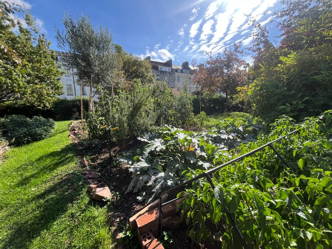 2 Bed Clifton Village Garden Flat central Main Photo