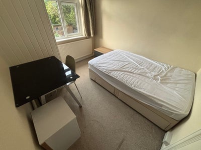 Girls-Only Student Room Available | &pound;796 PCM Main Photo