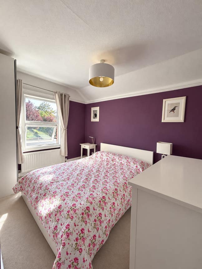 Beautiful Double Room + Huge Garden Cabin Main Photo