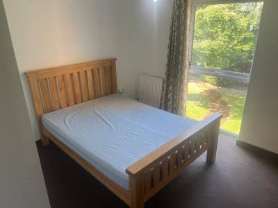 Double room available Main Photo
