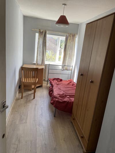 Single room to let  Main Photo