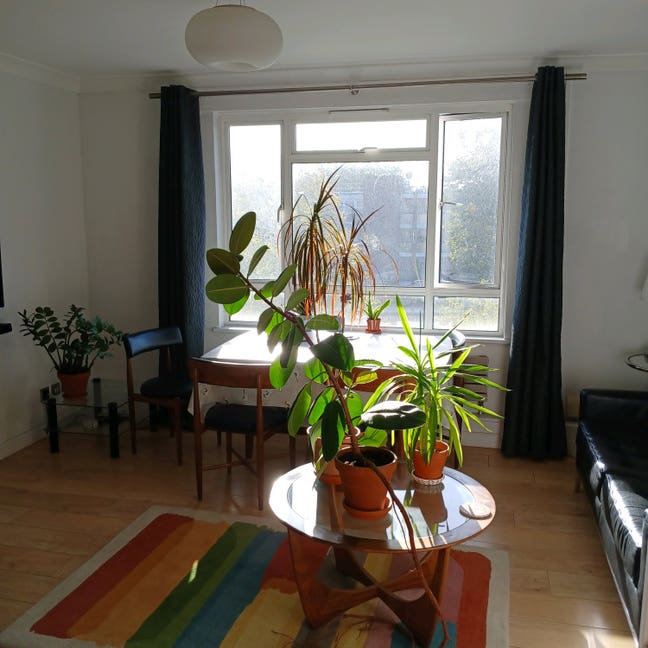 Bright double room in Islington  Main Photo