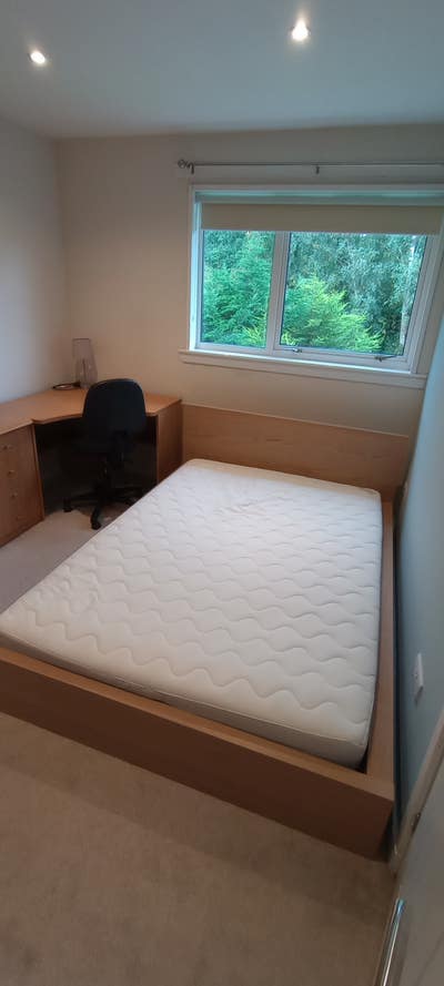 Room in quiet southside house for six months  Main Photo