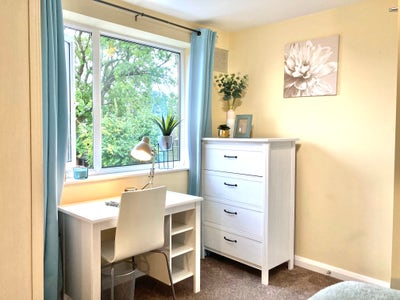 Friendly quiet house, lovely garden and bike shed Main Photo