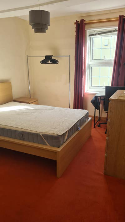 Large double room in Dawlish  Main Photo