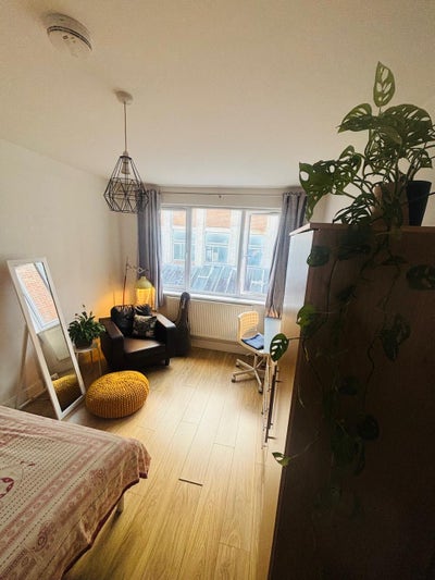 2 Dbl rooms Wood Green/ Alexandra Park Vegetarian Main Photo