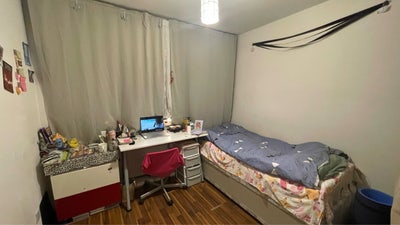 Cozy Female Room Located at Warren Street  Main Photo