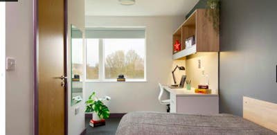 Warwick University Accomodation Takeover Available Main Photo
