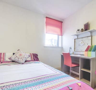 Private studio/kitchen/private bathroom Main Photo