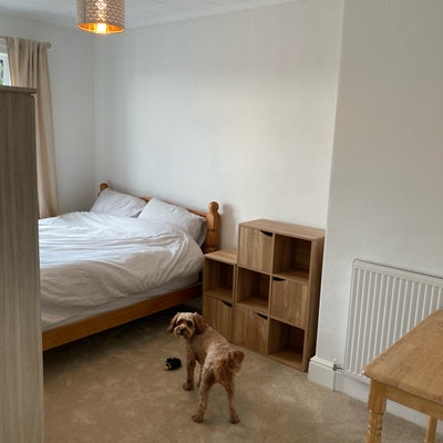 Room in Torquay Available For Female Main Photo