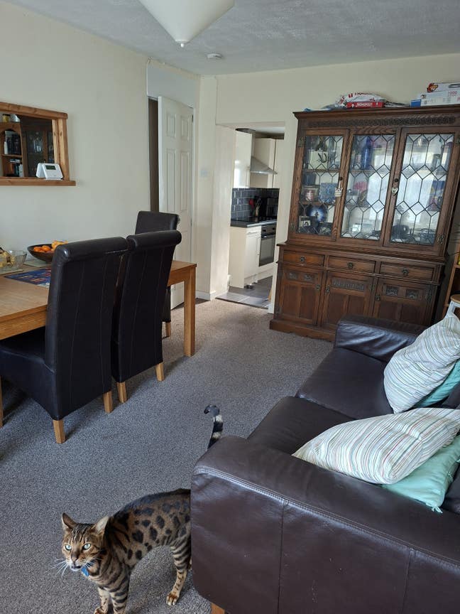 Double room in a quiet location Main Photo