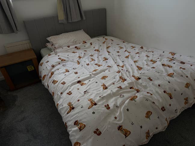 Double Room(Town Cntr) nr Hospital & Amenities Main Photo