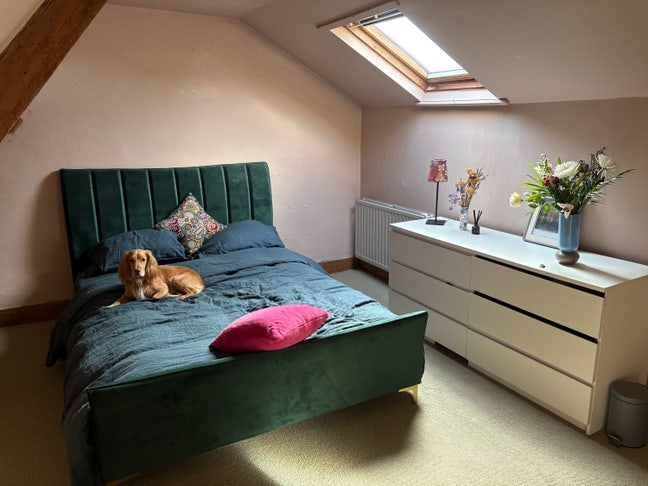 Double room in cottage in Frome avail 5 Oct 26 Main Photo
