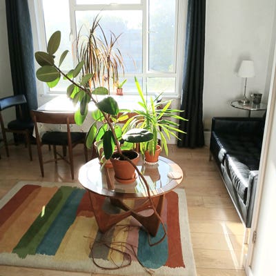 Bright double room in Islington  Main Photo