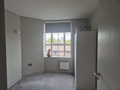 Double room available SE15 Main Photo
