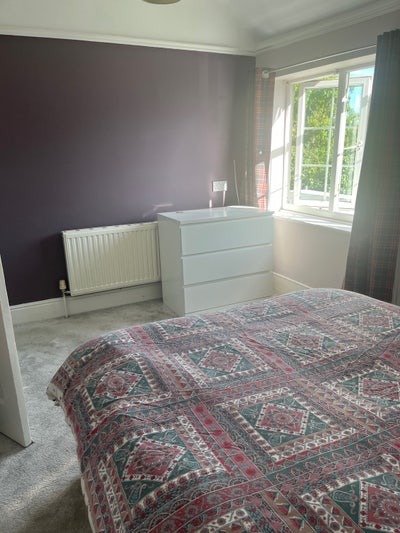 Beautiful quiet and tidy home with lovely dogs Main Photo