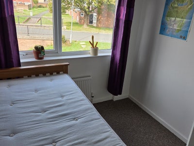 Small single room Main Photo
