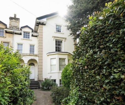 Massive Double Room in Cotham Garden Flat Main Photo