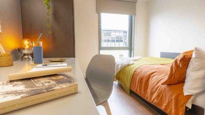 Iq Astor House Student Room – Plymouth Main Photo