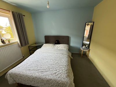 Double room in Hatfield  Main Photo