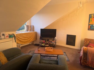 Stunning Attic Flat available for Sublet  Main Photo