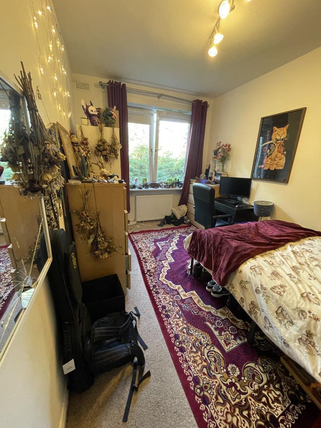 Spacious Room in West End Main Photo
