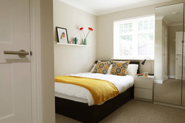 🏠Spacious Comfy Room in Professional Houseshare  Main Photo