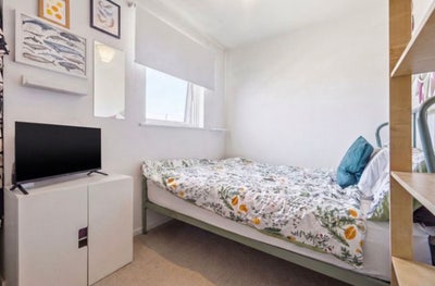 Small double in Bow available for November 2026 Main Photo