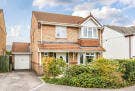 Lovely double room in very comfortable house Main Photo