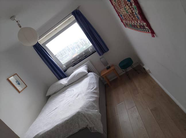 Double room - dog friendly - males preferred Main Photo