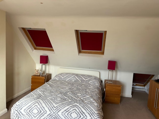 Bright spacious ensuite with cleaner included! Main Photo