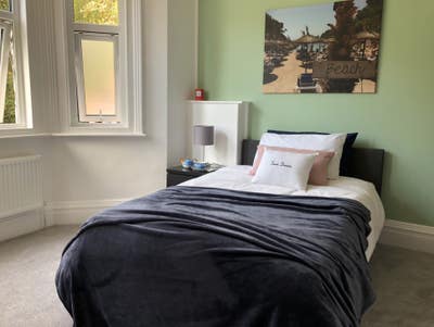 Cosy, light room at back of house with ensuite Main Photo