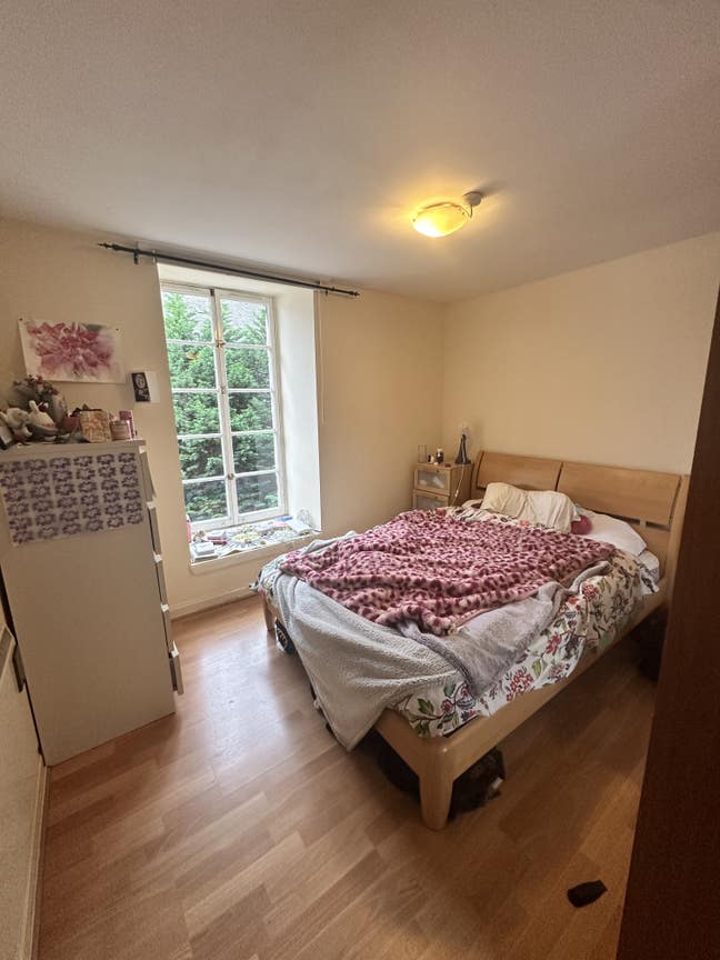 Cute room in beautiful flat at The Shore  Main Photo