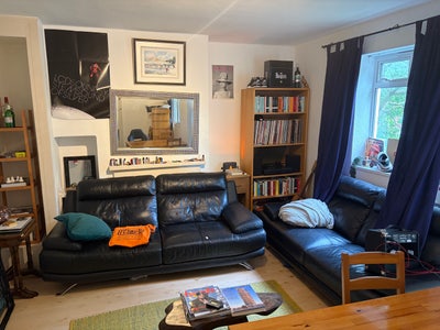 Gorgeous 1 bedroom for rent - Canonbury Main Photo