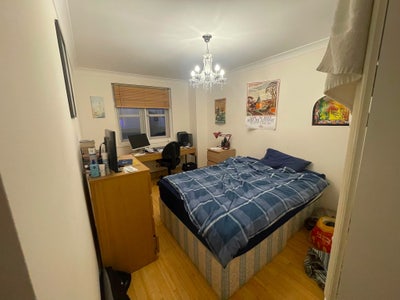 Double Room in a friendly spacious flat! Main Photo