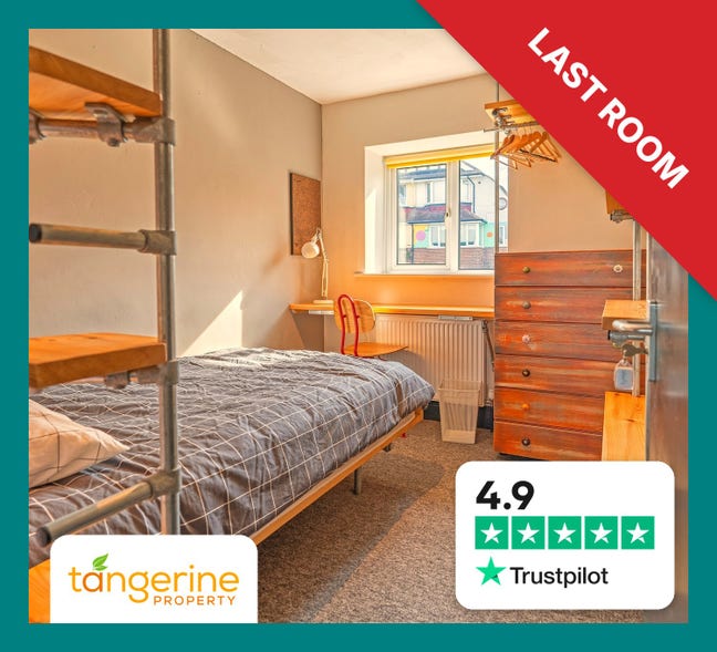Female Student Room. &pound;775 All Inc. 4.9*Trustpilot Main Photo