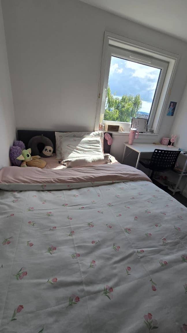 Room share Main Photo