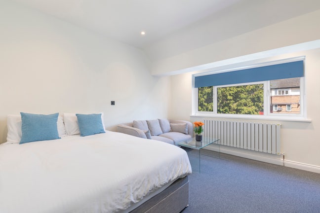 ✨ Luxury Studio Apartment near Acton Main Line Main Photo