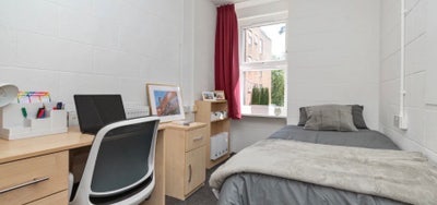 SOAS Student Takeover Wood Green Hall-1st Wk Free Main Photo