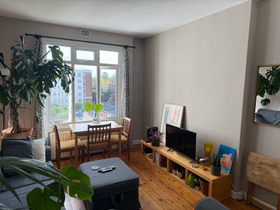 Lovely double room in three-bed flat in Brixton Main Photo