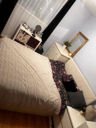 Great location, lovely home & easy-going flatmate Main Photo