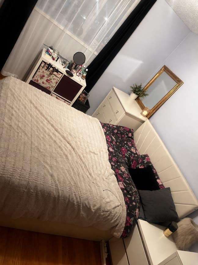 Great location, lovely home & easy-going flatmate Main Photo