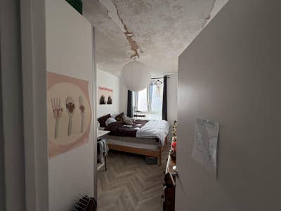 Bright, spacious, renovated room by Burgess Park Main Photo