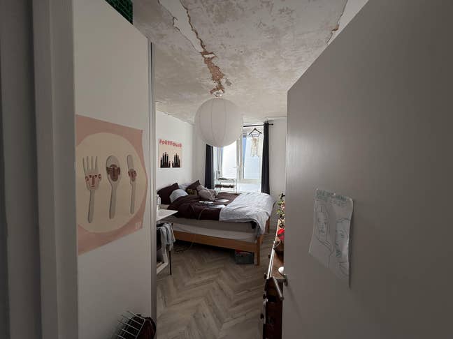 Bright, spacious, renovated room by Burgess Park Main Photo