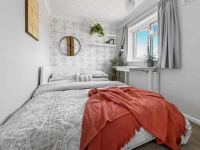 Bright Room in a Calm 3-Bedroom Home with Backyard Main Photo